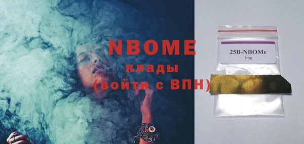 шишки Богородицк