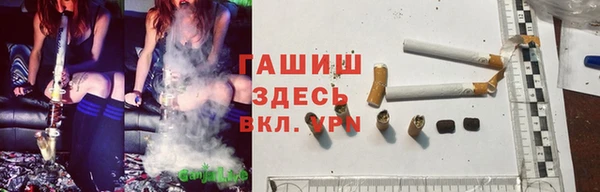 индика Бородино
