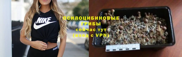 прущая мука Бронницы