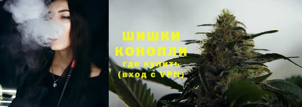 шишки Богородицк
