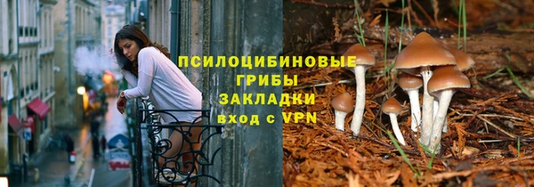 каннабис Богданович