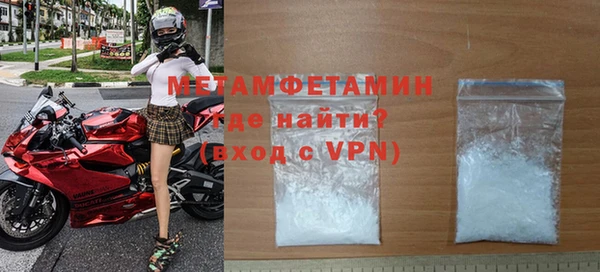 индика Бородино