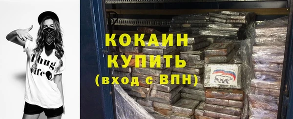 шишки Богородицк