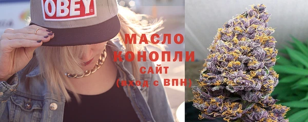 шишки Богородицк