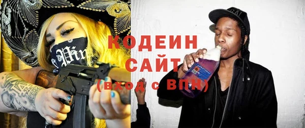 индика Бородино