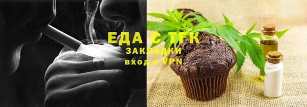 индика Бородино