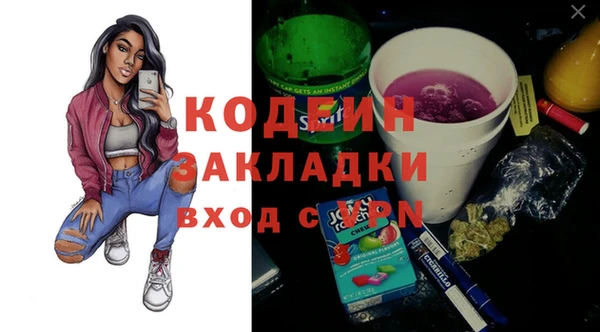 индика Бородино