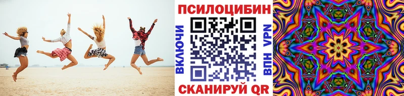 Псилоцибиновые грибы Psilocybe Гусев
